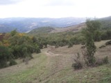 Clicca qui per vedere l'immagine in dettaglio